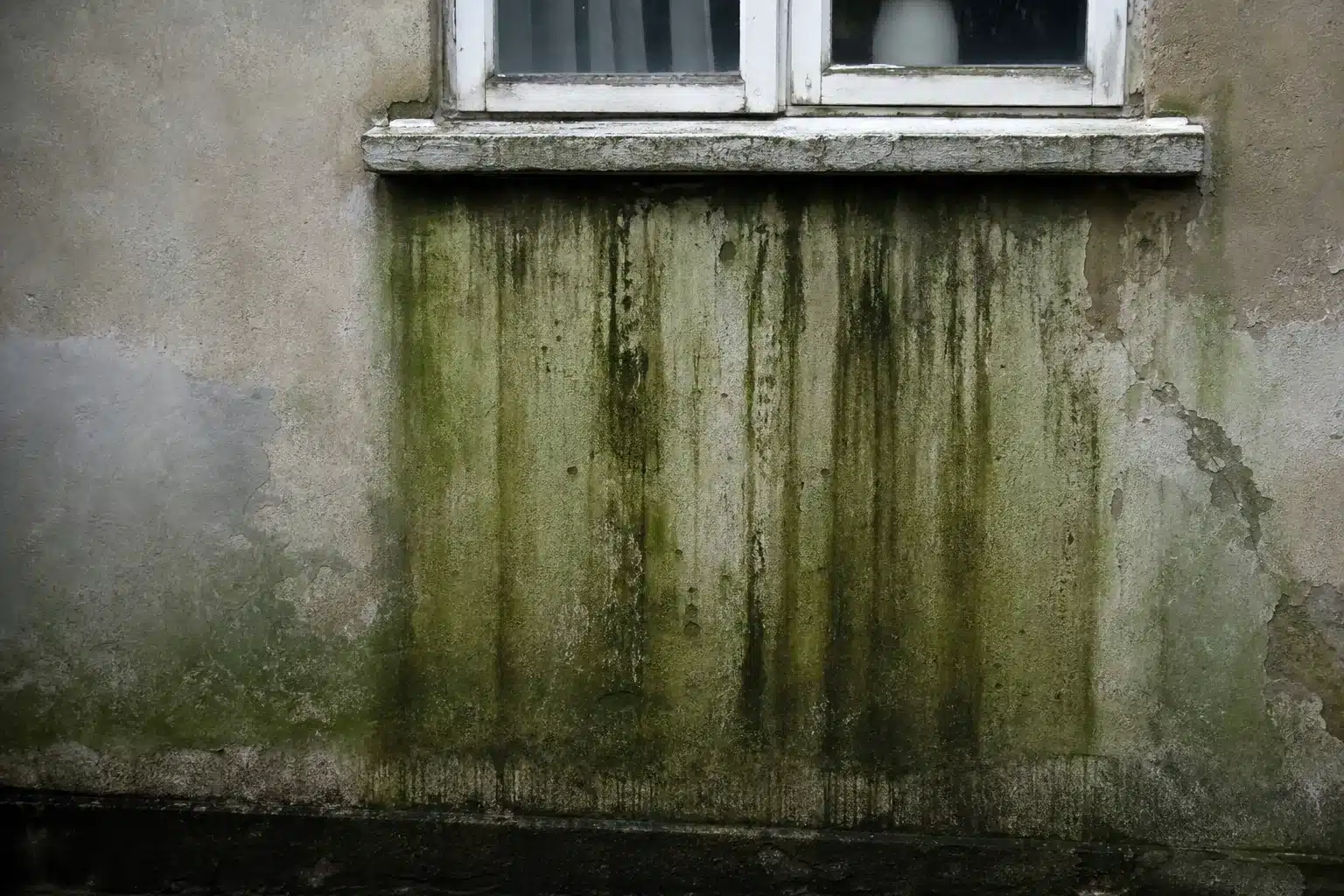 Glony i zacieki na elewacji budynku wymagającej czyszczenia